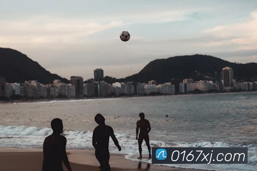 奖项证书